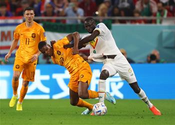 فيديو هولندا تهزم السنغال بثنائية نظيفة في افتتاح مشوارهما بـ كأس العالم 2022
