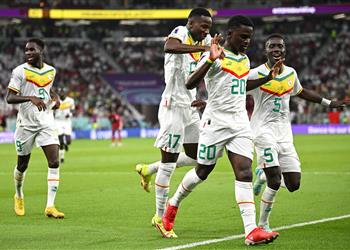 فيديو ديانج يسجل هدف السنغال الثالث أمام قطر