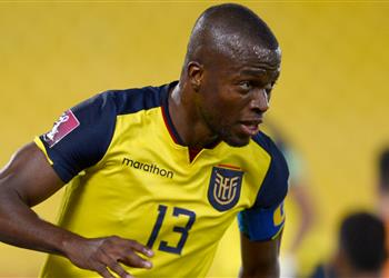 تشكيل الإكوادور ضد هولندا في كأس العالم فالنسيا أساسي ا