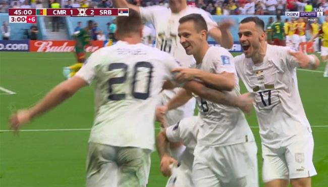 هدف صربيا الثاني في مرمي الكاميرون (2-1) كأس العالم