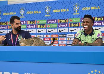 فيديو قطة تقاطع مؤتمر فينيسيوس الخاص بمباراة البرازيل وكرواتيا