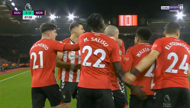 اهداف مباراة ساوثهامبتون ونورويتش سيتي 2 0 الدوري الانجليزي