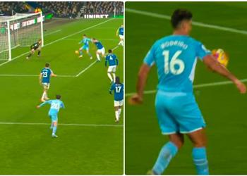 صورة تقنية الفيديو توضح سبب عدم احتساب ركلة جزاء لـ إيفرتون أمام مانشستر سيتي