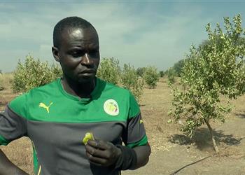 فرديناند كولي يتحدث عبر بطولات عن صحة هدف محمد صلاح وهزيمة السنغال أمام مصر سيناريو مثالي