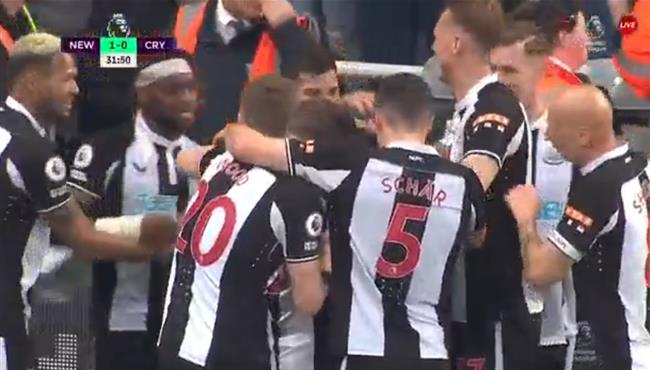 هدف فوز نيوكاسل علي كريستال بالاس 1 0 الدوري الانجليزي