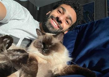 فيديو محمد صلاح يشارك في حملة للرفق بالحيوان زيه زينا