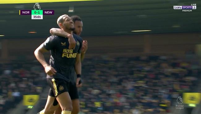 اهداف مباراة نيوكاسل ونورويتش سيتي 3 0 الدوري الانجليزي