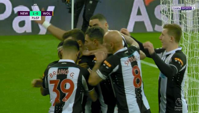 هدف فوز نيوكاسل علي ولفرهامبتون 1 0 الدوري الانجليزي