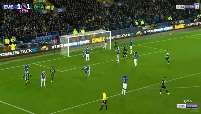 اهداف مباراة برايتون وايفرتون 1 1 الدوري الانجليزي