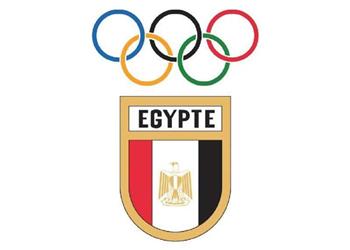 بعد إيقاف هشام حطب ياسر إدريس انتظروا عهد ا جديد ا في اللجنة الأولمبية المصرية