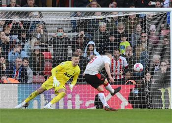 فيديو في مباراة الـ6 أهداف ساوثهامبتون يعود من بعيد ويخطف تعادل ا قاتل ا من توتنهام