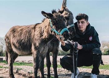 هافيرتز بعض زملائي في تشيلسي ينادونني بـ الحمار والناس يعتقدون أنني ميسي