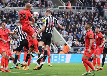 فيديو نيوكاسل يهزم برايتون برباعية في الدوري الإنجليزي ويتمسك بمقعده الأوروبي