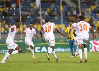 فيديو النيجر تخطف فوز ا صعب ا من الجابون وتتقاسم صدارة المجموعة مع مصر