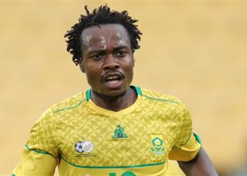 قائمة جنوب إفريقيا لمباراتي ناميبيا والكونغو الديمقراطية استدعاء بيرسي تاو