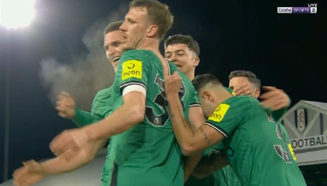 اهداف مباراة نيوكاسل يونايتد وفولهام 2 0 كأس الاتحاد الانجليزي