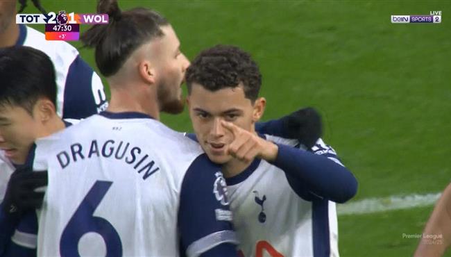 اهداف مباراة توتنهام وولفرهامبتون 2 2 الدوري الانجليزي