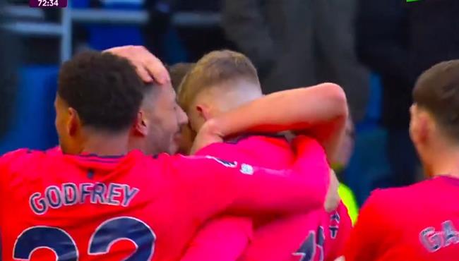 اهداف مباراة ايفرتون وبرايتون 1 1 الدوري الانجليزي