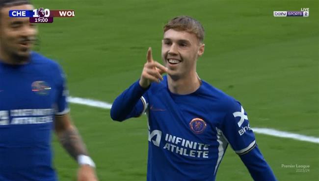هدف بالمير في مرمي ولفرهامبتون بالدوري الانجليزي