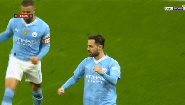 هدف برناردو سيلفا الاول في مرمي نيوكاسل بكأس الاتحاد الانجليزي