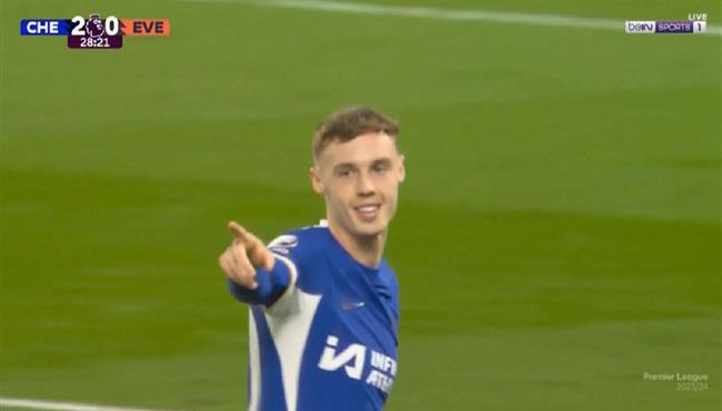 هدف بالمر الاول العالمي في مرمي ايفرتون بالدوري الانجليزي