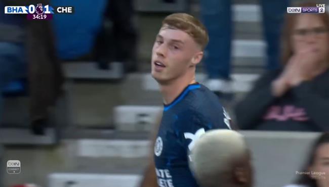 هدف بالمر في مرمي برايتون بالدوري الانجليزي