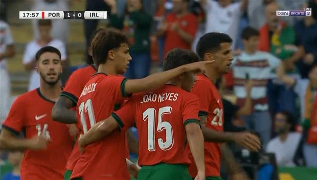 هدف البرتغال الاول في مرمي ايرلندا