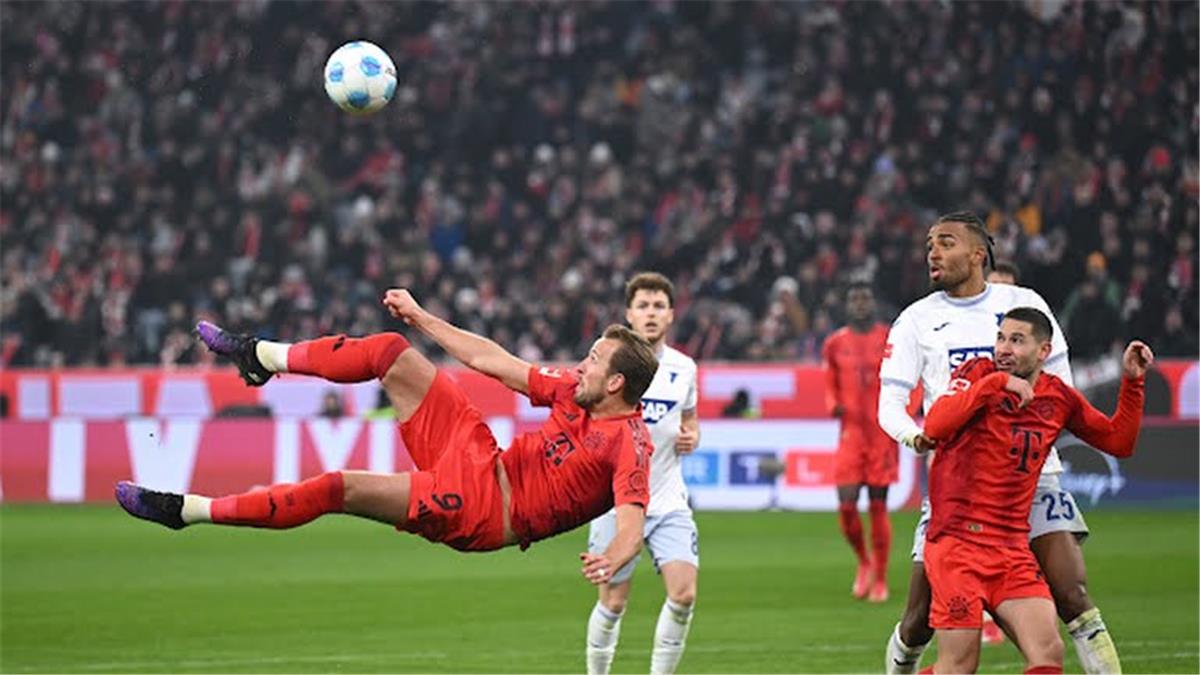 العالمي : فيديو | بايرن ميونخ يكتسح هوفنهايم بخماسية ويعزز صدارته للدوري الألماني