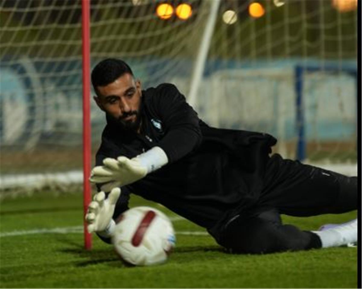 أحمد الشناوي 