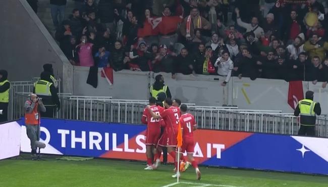 اهداف مباراة البرازيل وتونس 1 1 مباراة ودية