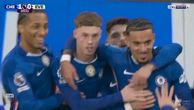 هدف بالمر في مرمي ايفرتون بالدوري الانجليزي