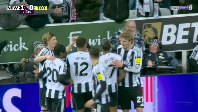 اهداف مباراة توتنهام ونيوكاسل 2 2 الدوري الانجليزي