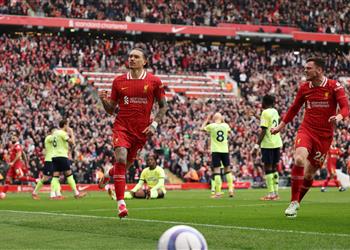 فيديو داروين نونيز يسجل هدف تعادل ليفربول أمام ساوثهامبتون