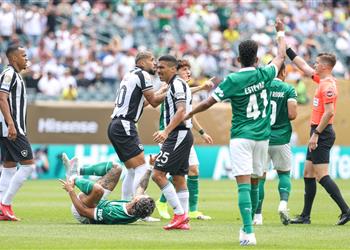 فيديو بالميراس يهزم بوتافوجو ويتأهل إلى ربع نهائي كأس العالم للأندية