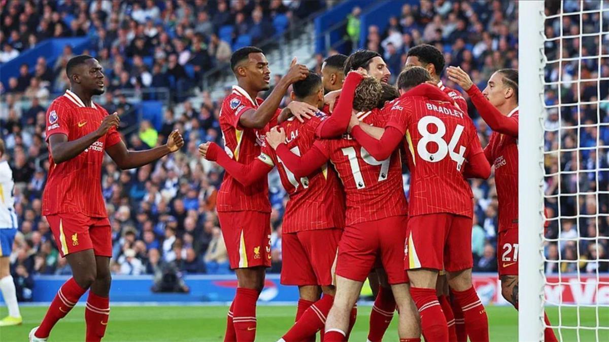 نيوز برو : لاعب ليفربول: تفاجئت برسائل تهنئة على تعييني نائبًا لـ فان دايك
