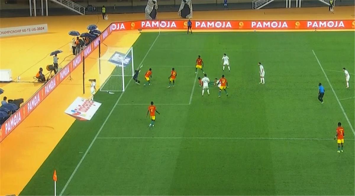 الجزائر وغينيا