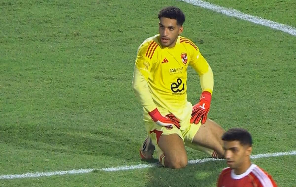 مصطفى شوبير