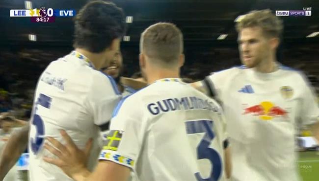 هدف فوز ليدز يونايتد علي ايفرتون 1 0 الدوري الانجليزي