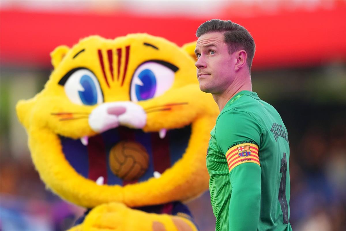 مارك تير شتيجن