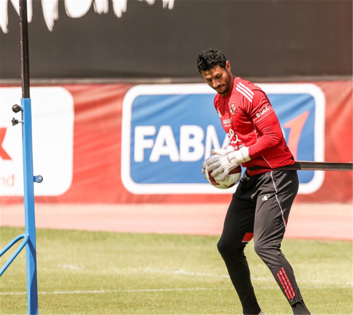 محمد الشناوي