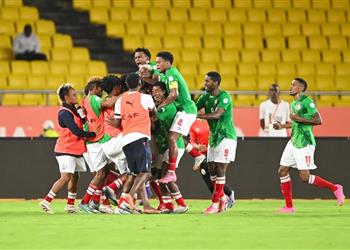 فيديو منتخب مدغشقر يهزم السودان بهدف قاتل ويتأهل إلى نهائي كأس أمم إفريقيا للمحليين