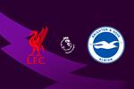 موعد والقناة الناقلة لمباراة ليفربول وبرايتون اليوم في الدوري الإنجليزي.. والمعلق
