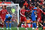 فيديو | ليفربول يفوز على برايتون بثنائية في الدوري الإنجليزي