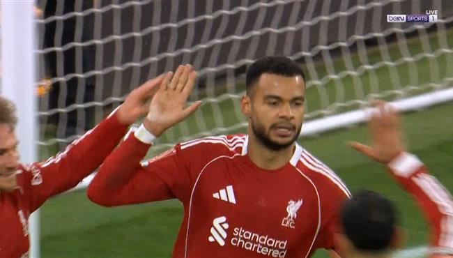 هدف جاكبو الملغي في مرمي برايتون بكاس الاتحاد الانجليزي