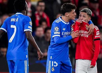 فرديناند عن واقعة فينيسيوس تصرف أحمق أفسد كل شيء