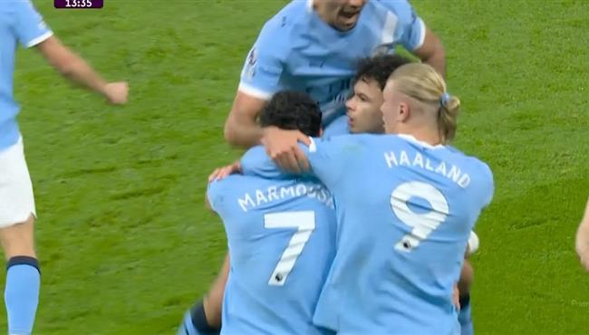 اهداف مباراة مانشستر سيتي ونيوكاسل في الدوري الانجليزي