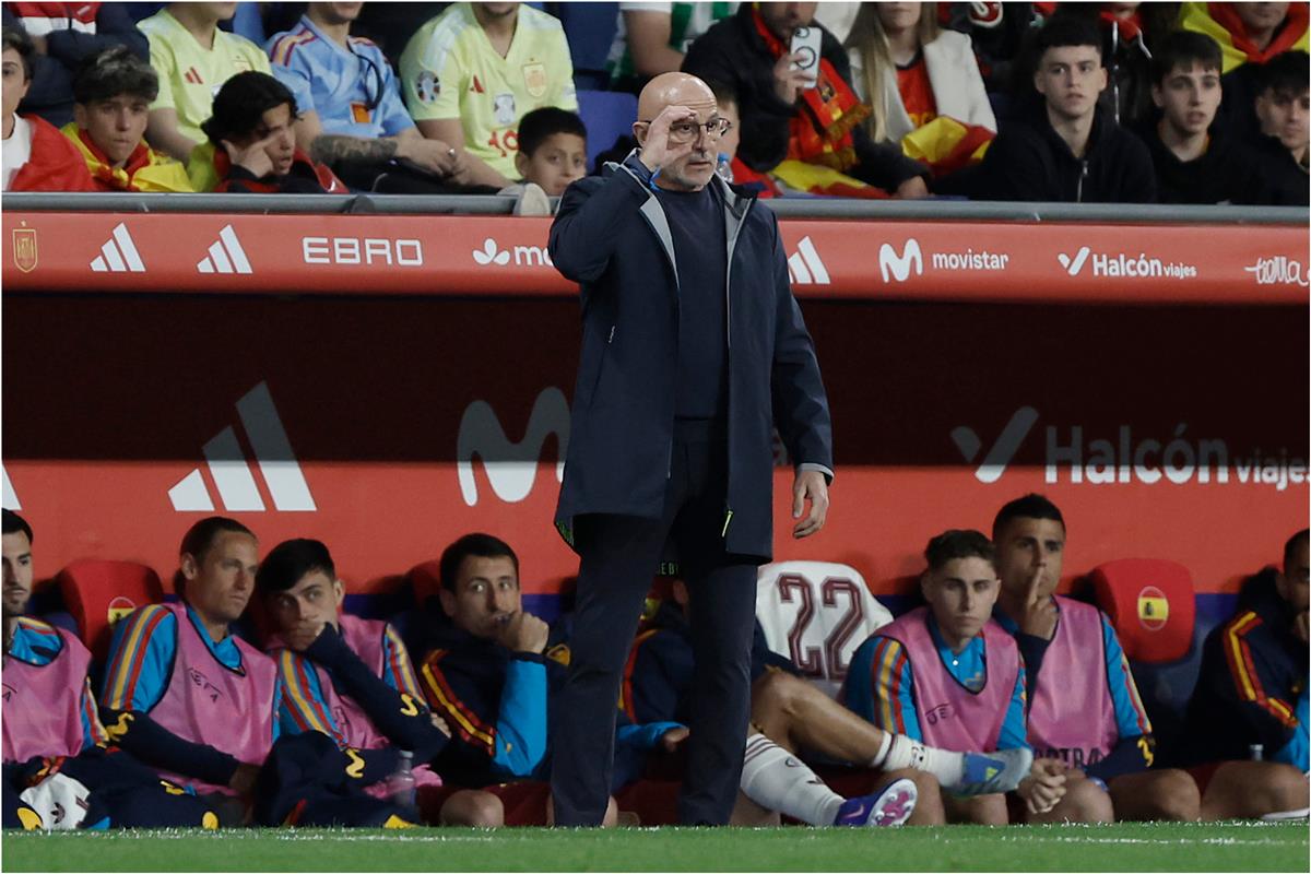 دي لا فوينتي عن إساءة جماهير إسبانيا لـ منتخب مصر: لا يوجد ما يمكن فعله