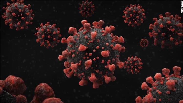 فيروس كورونا المستجد كوفيد 19