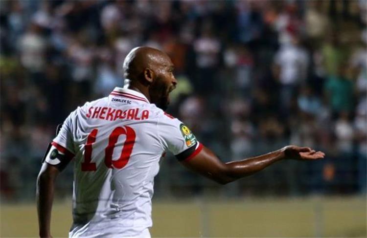 شيكابالا الزمالك