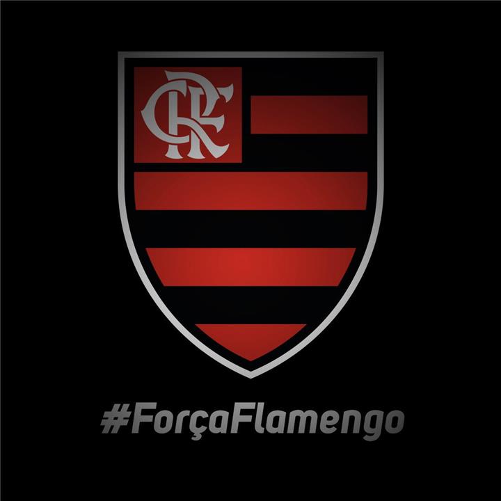 بعد وفاة سالا كارثة كروية جديدة في نادي فلامينجو البرازيلي